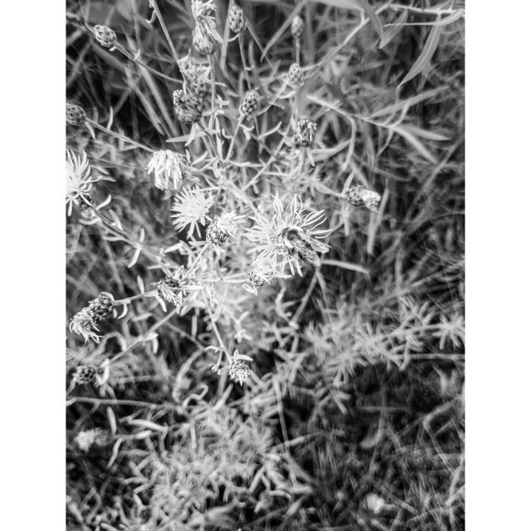 Photo of David Raznick