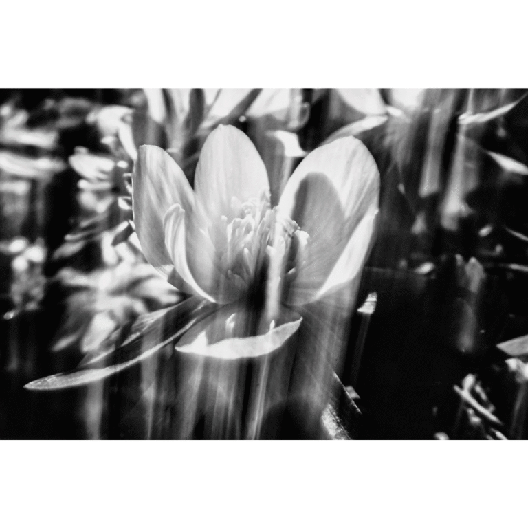 Photo of Maria Newhouse Photography