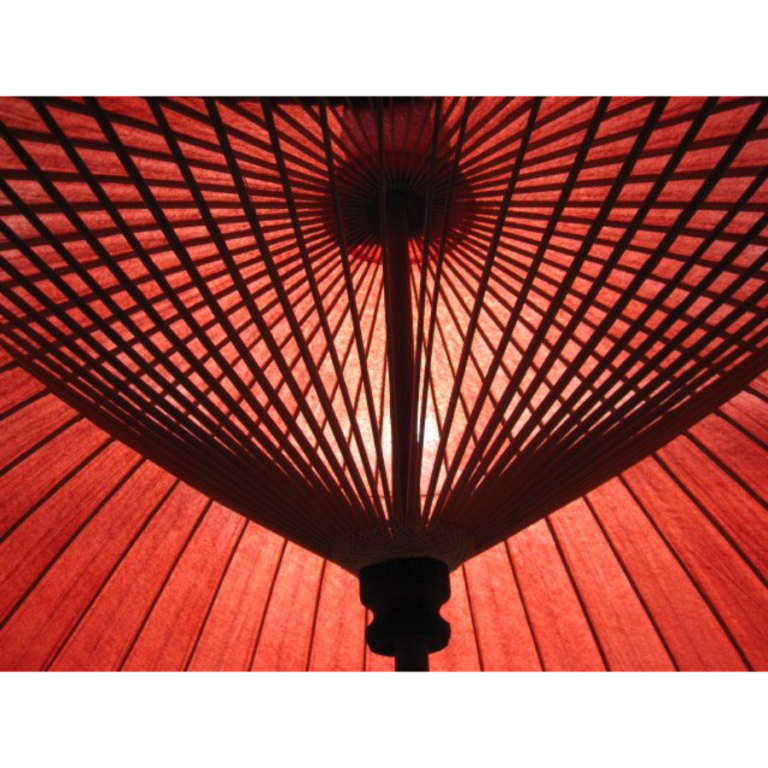 Photo of The Artists of Colors & Cocktails