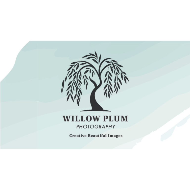 Photo of Willow Plum Photography