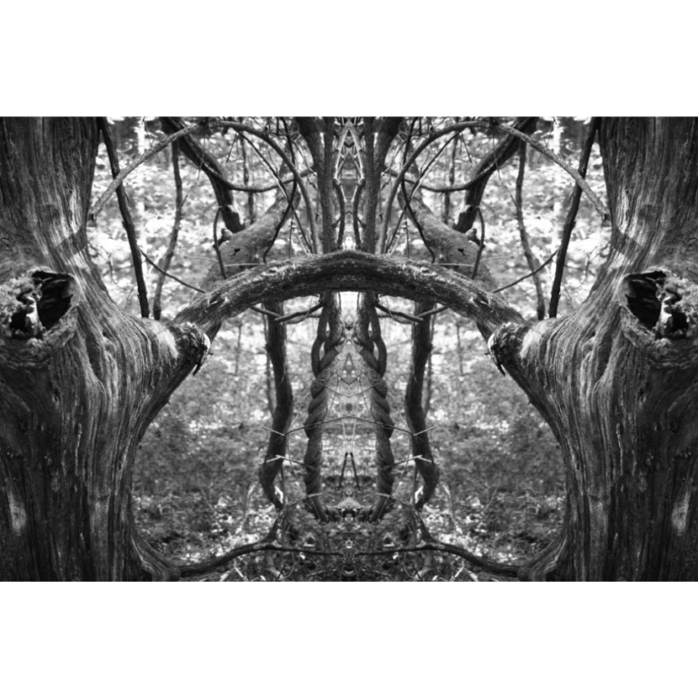 Photo of Willow Plum Photography