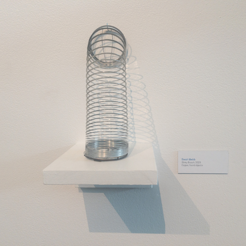 Photo of Sarah Webb – WMU Student Exhibit