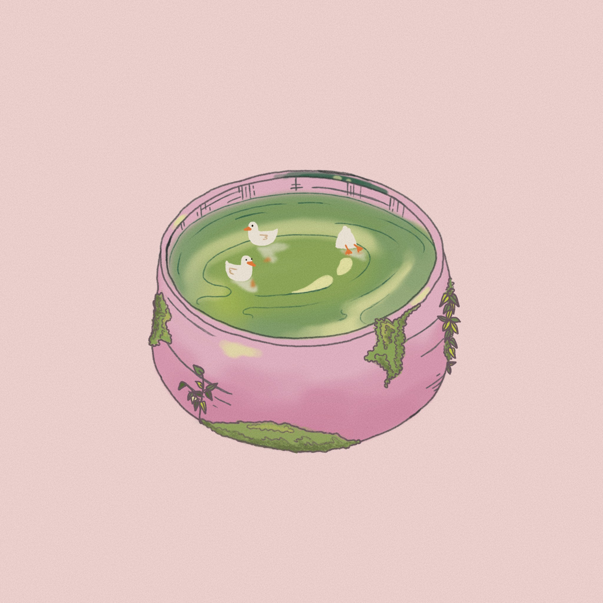Graphic art of ducks swimming around a mossy pool