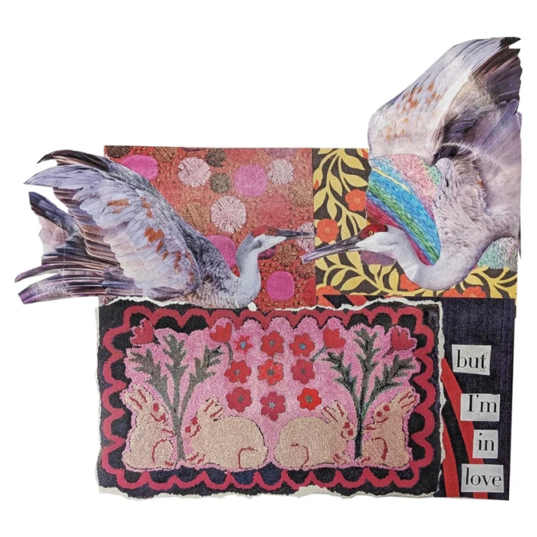 Photo of Afton Darsow