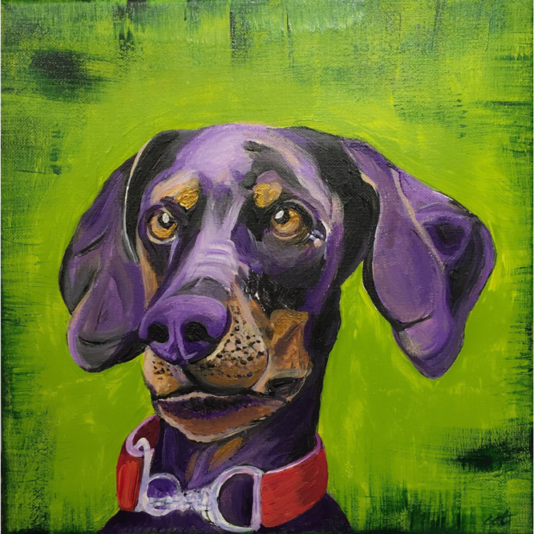 Photo of Cat Buckles