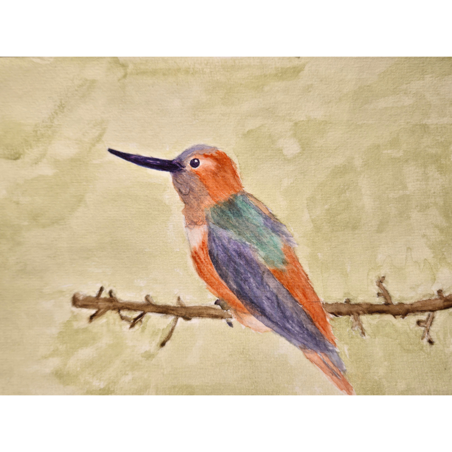 Portrait of a colorful orange blue and green hummingbird on a branch