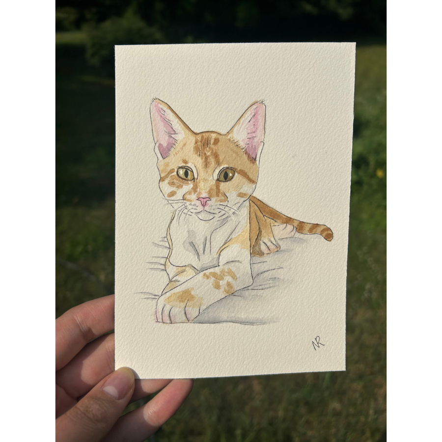 Portrait of orange cat laying down