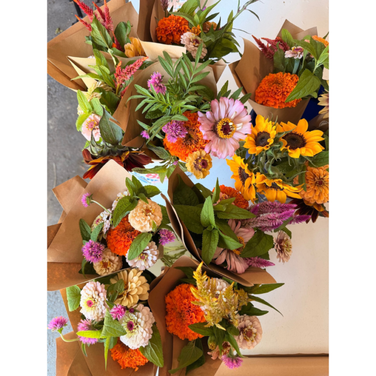 Photo of Blue Hare Flower Farm